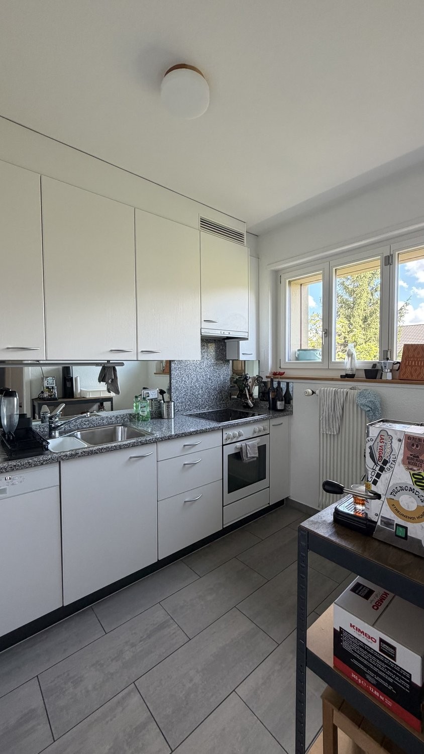 Appartamento arredato di 3 ½ locali, foto 3 di 8