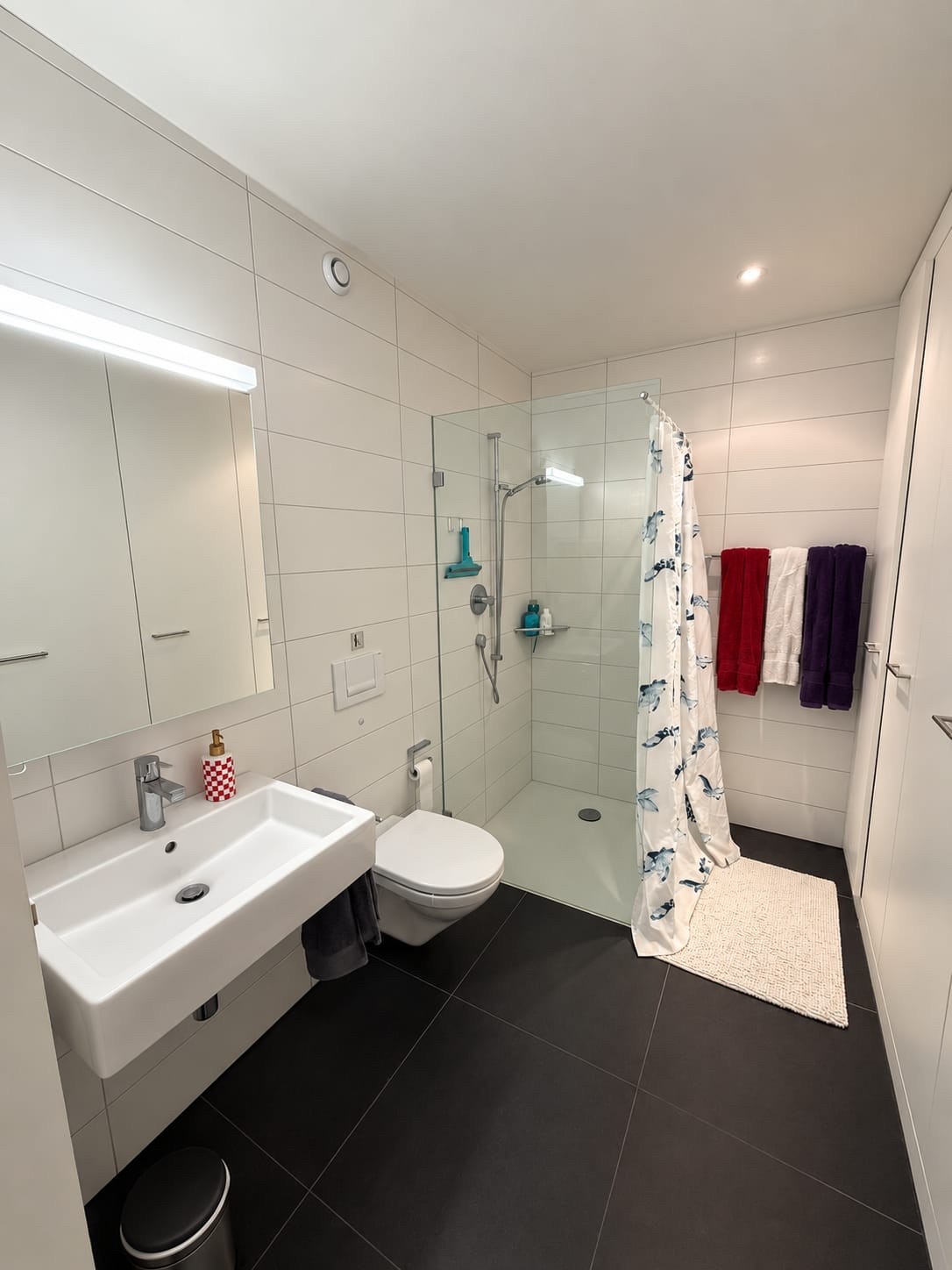 Appartamento di 3 ½ locali, foto 1 di 6