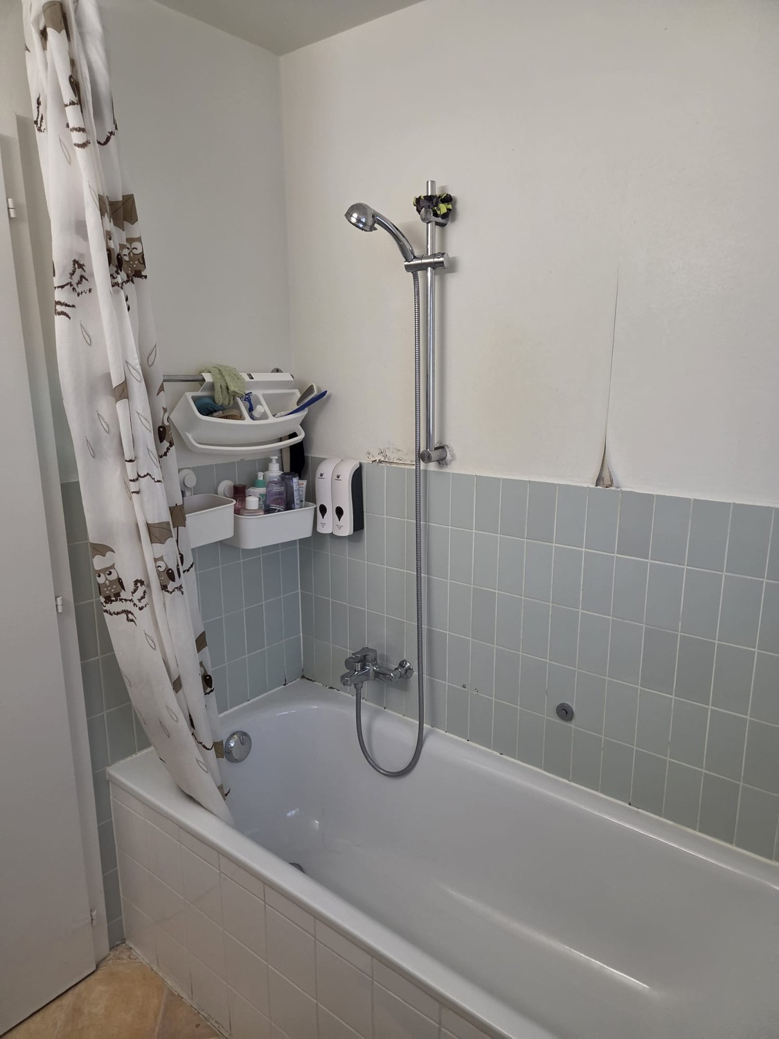 appartamento di 1 ½ locali, foto 5 di 10