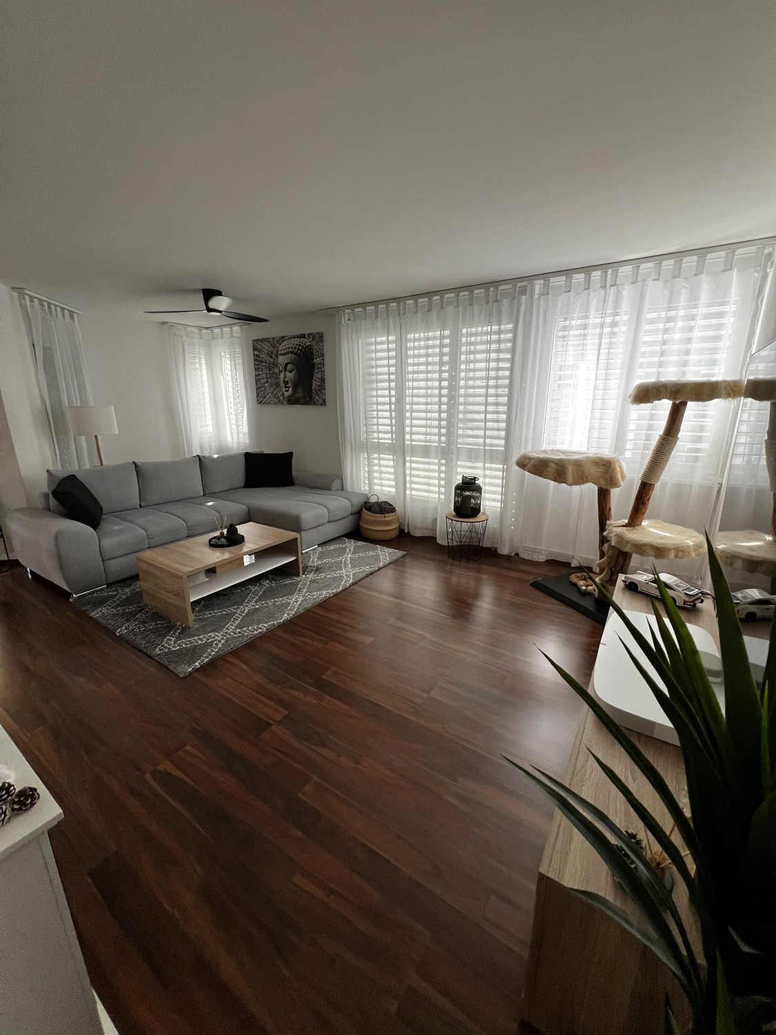 Appartamento di 2 ½ locali, foto 2 di 10