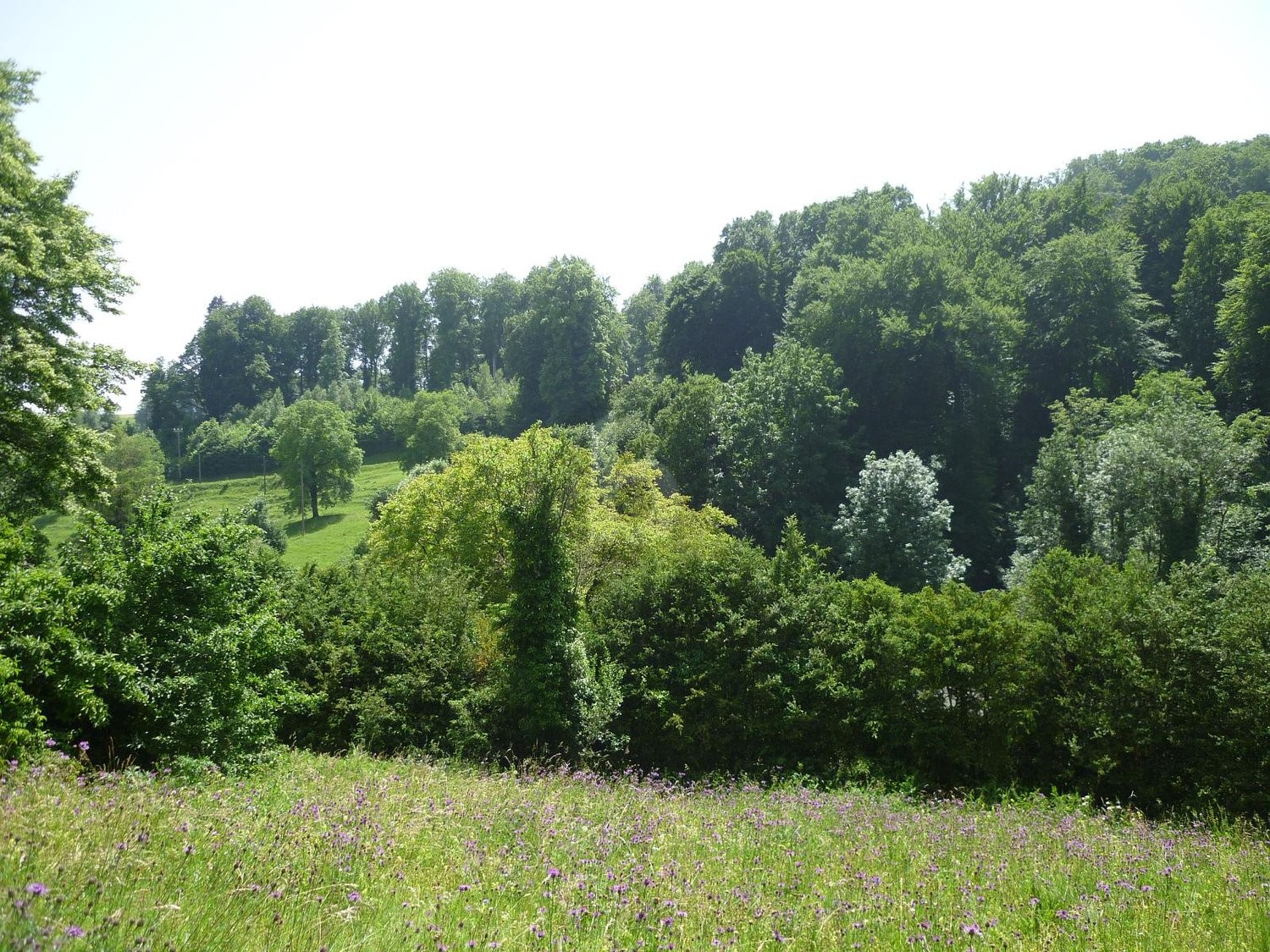 appartamento mansardato di 2 ½ locali, foto 2 di 4