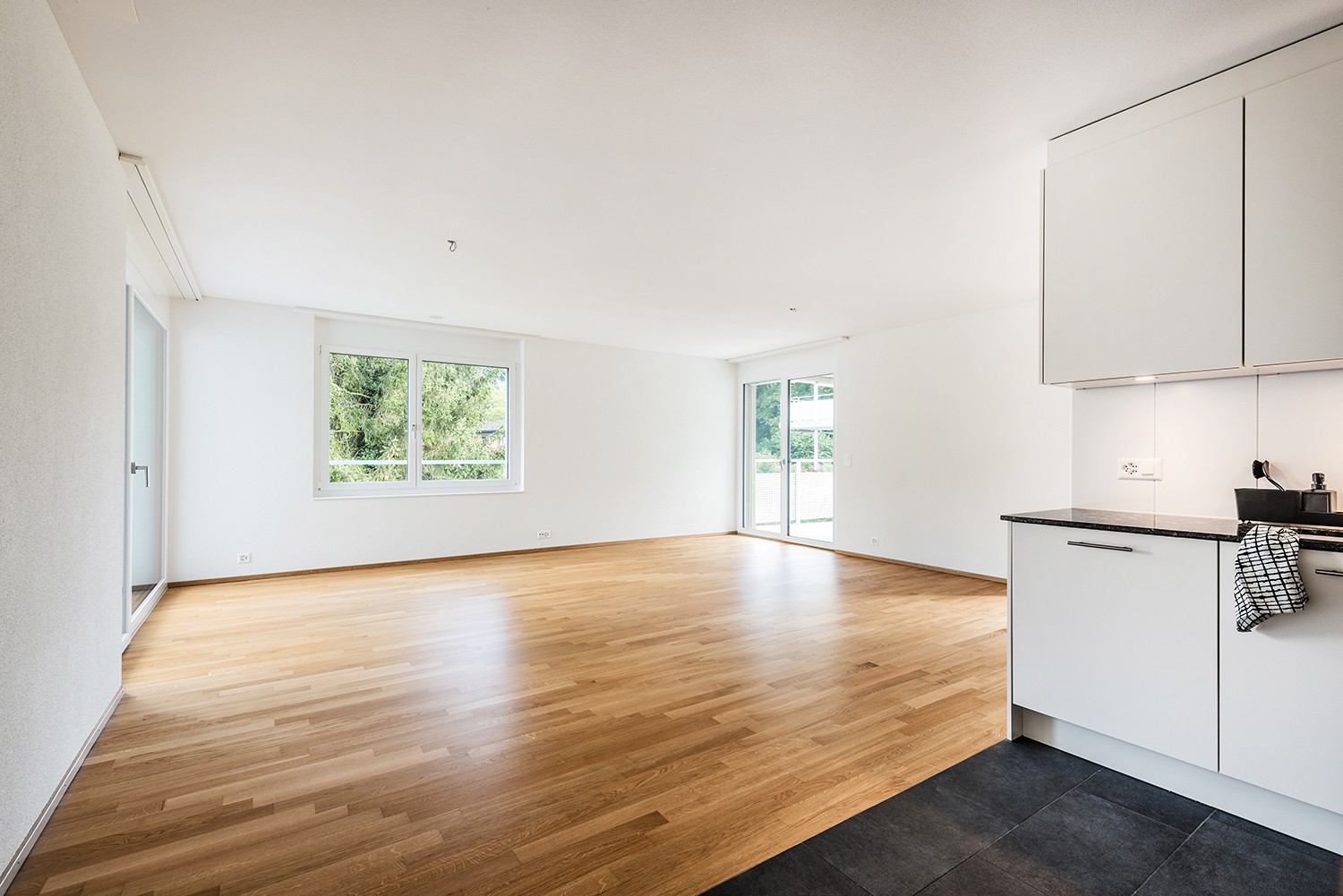 Appartement de 3 ½ pièces