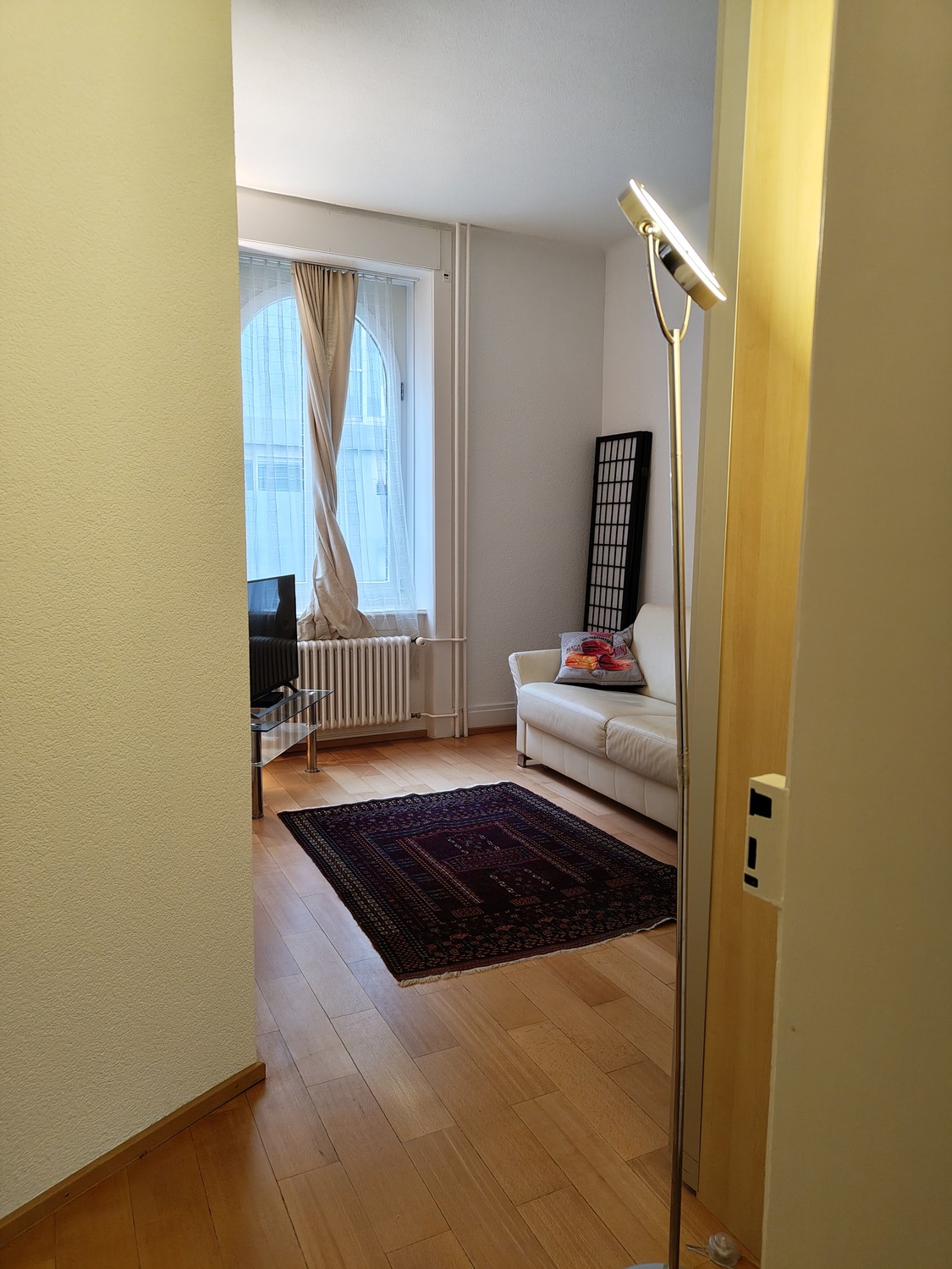 Appartamento di 3 ½ locali, foto 1 di 5