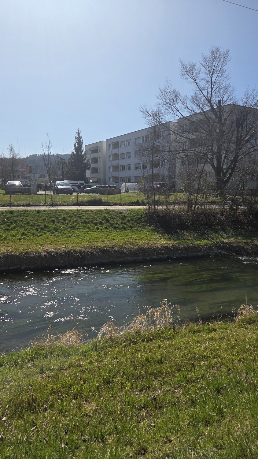 Appartamento di 3 ½ locali