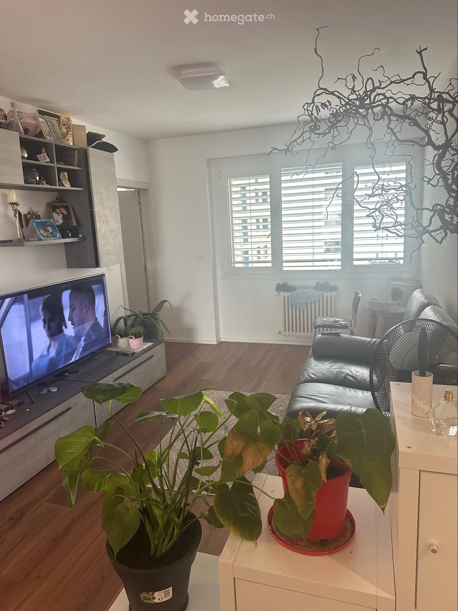 3 rooms apartment