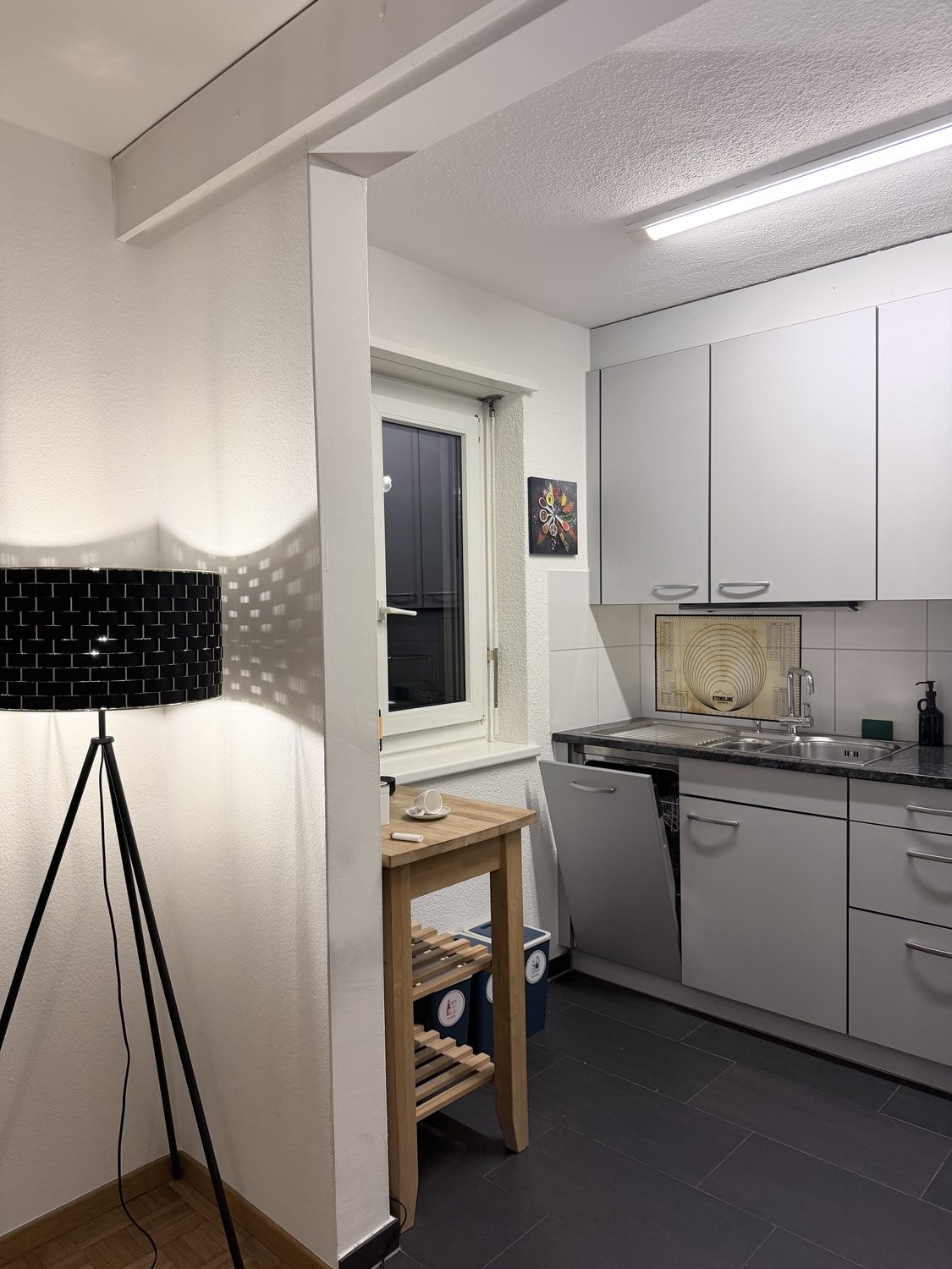appartamento arredato di 2 ½ locali