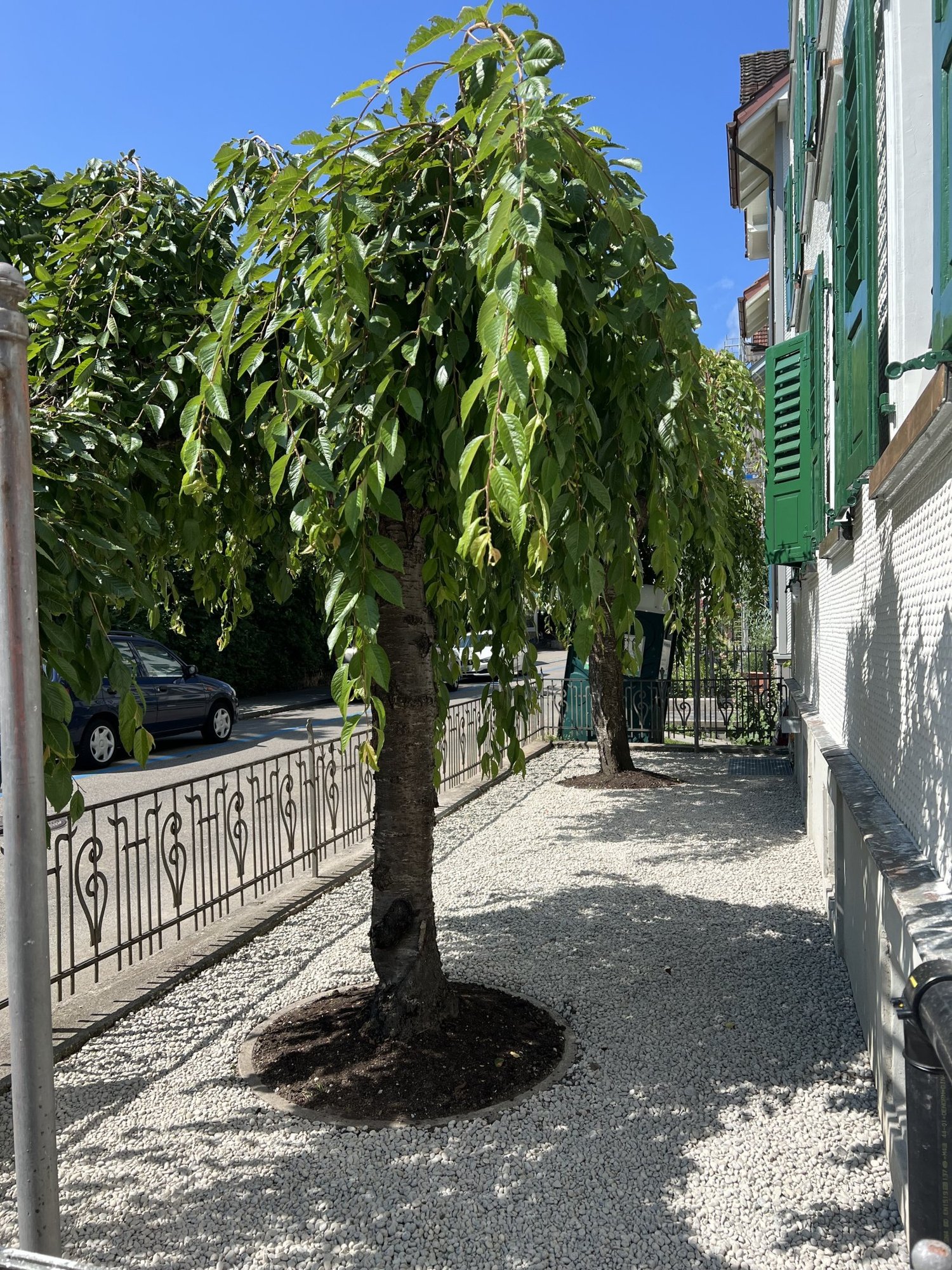 Appartamento di 3 ½ locali, foto 7 di 8