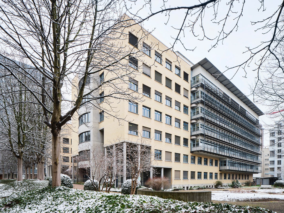181m² commerciale