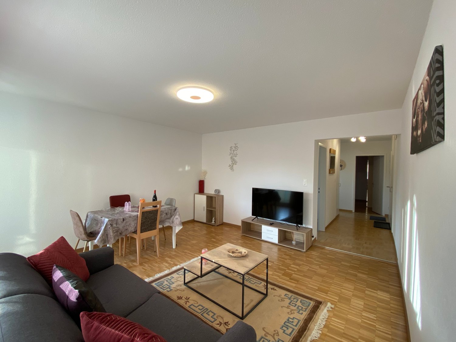 Appartamento arredato di 2 ½ locali, foto 2 di 10