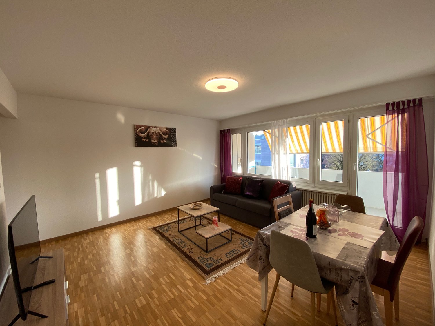 Appartamento arredato di 2 ½ locali, foto 1 di 10