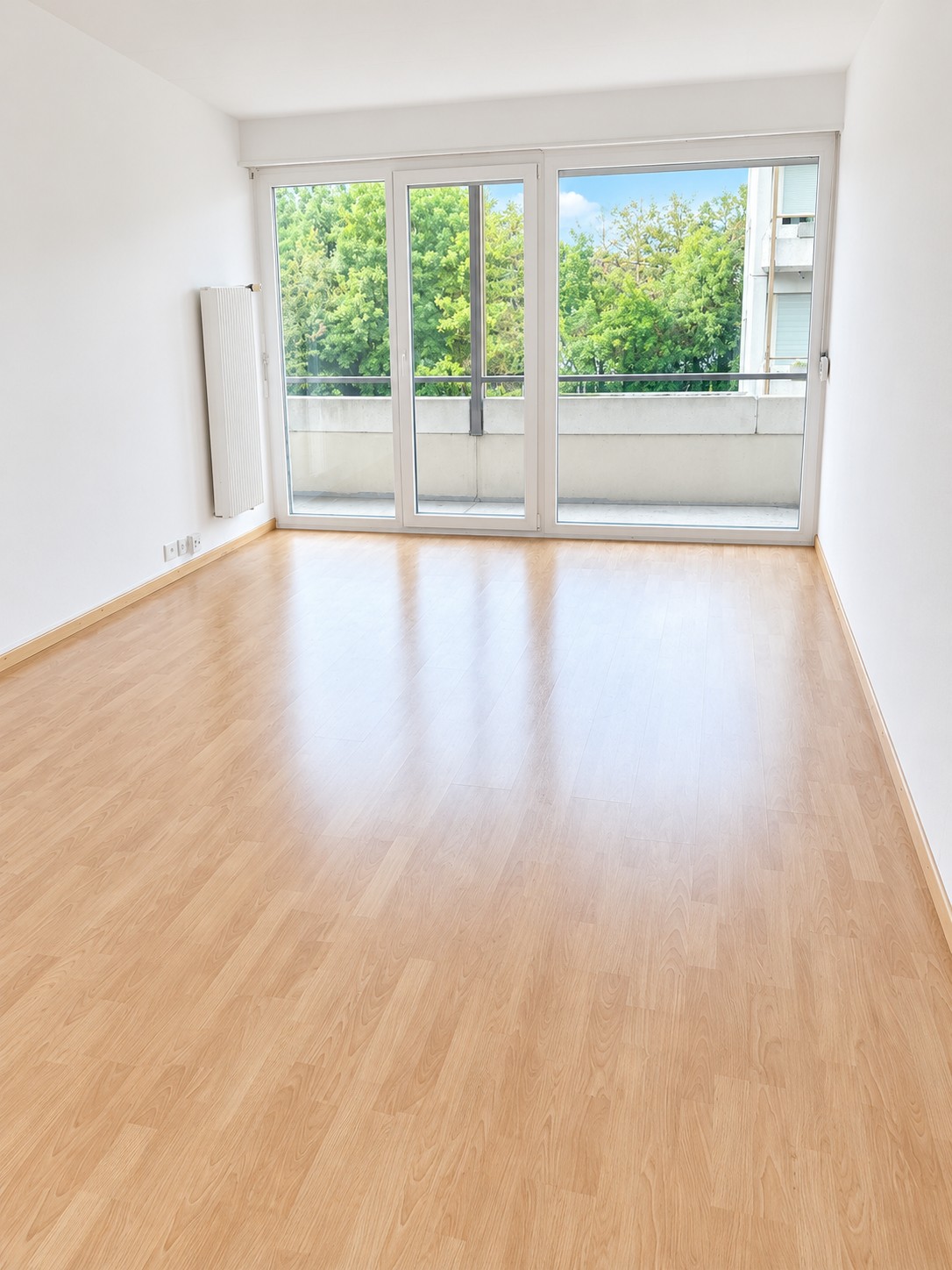 Appartamento di 2 ½ locali, foto 1 di 5