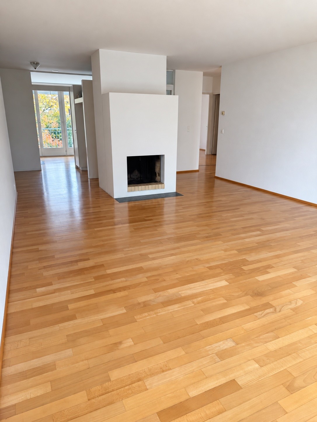 Appartamento di 3 ½ locali, foto 1 di 10