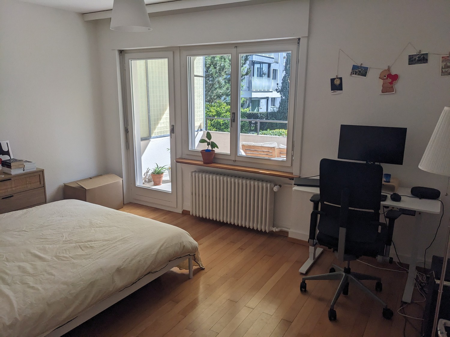 Room in a shared flat
