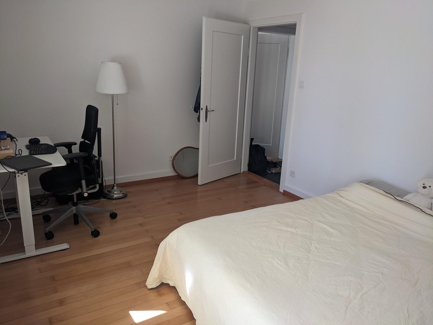 Room in a shared flat