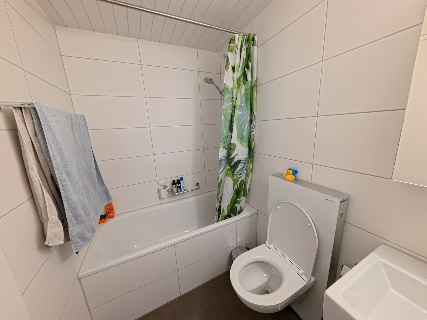 Appartamento di 3 ½ locali