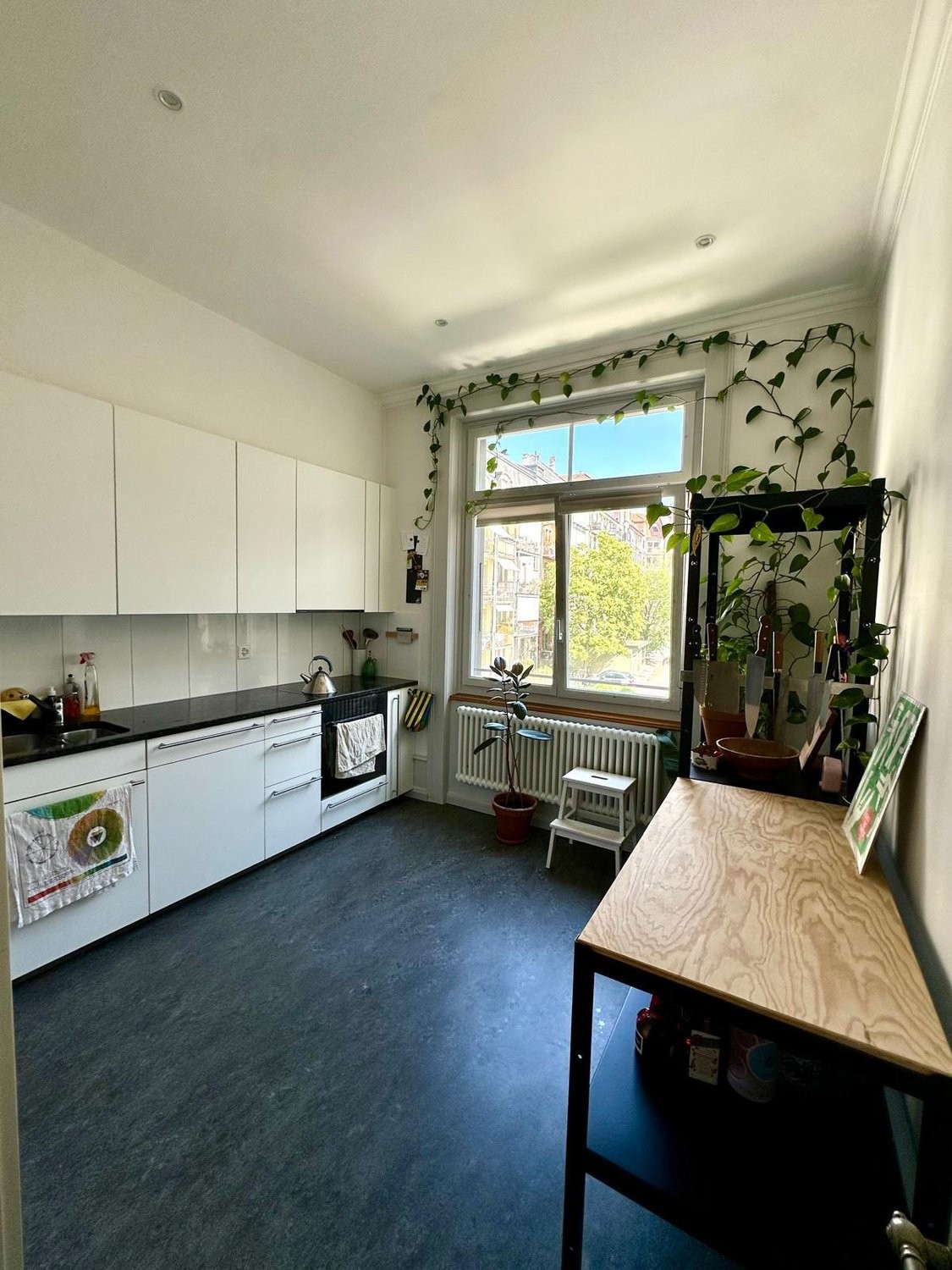 appartamento arredato di 2 ½ locali, foto 3 di 10