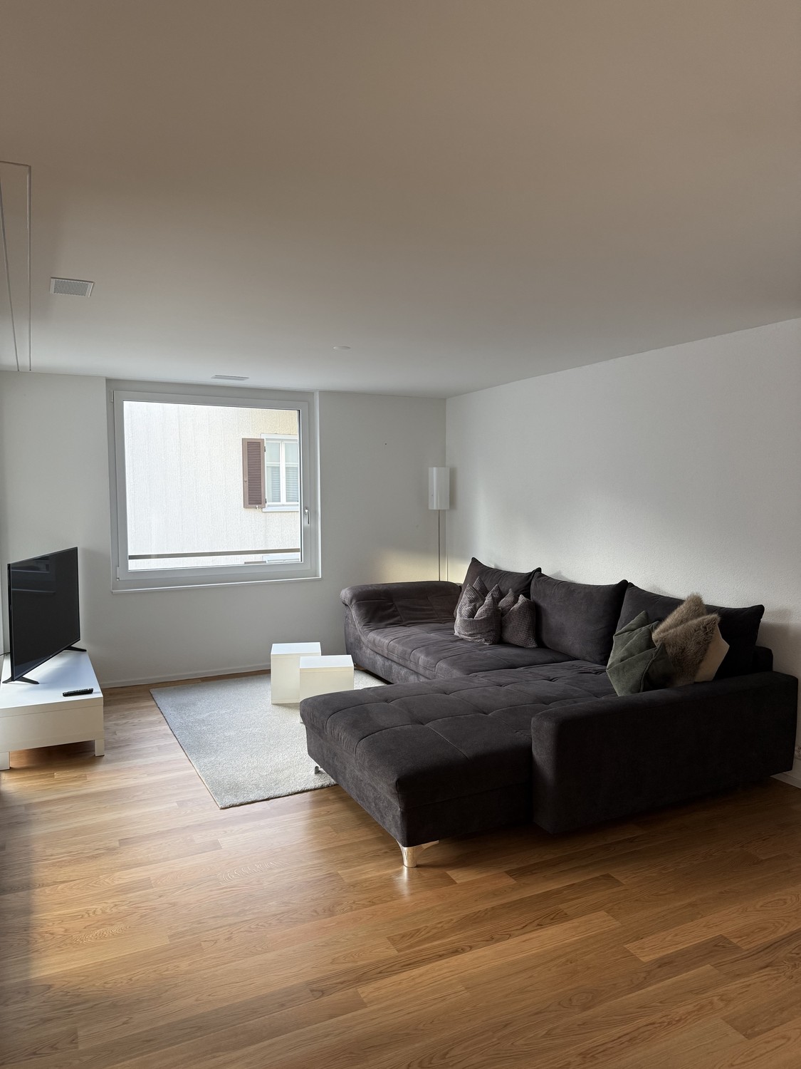 Appartamento di 3 ½ locali, foto 1 di 9