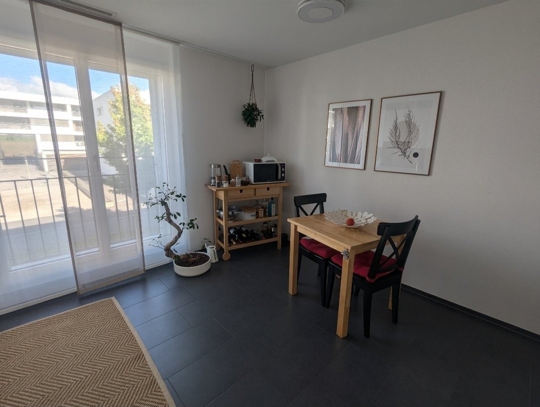 3 ½ rooms furnished flat