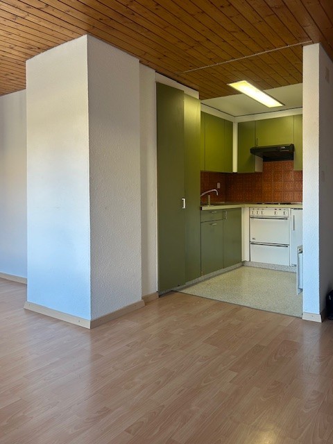 Appartamento di 2 ½ locali