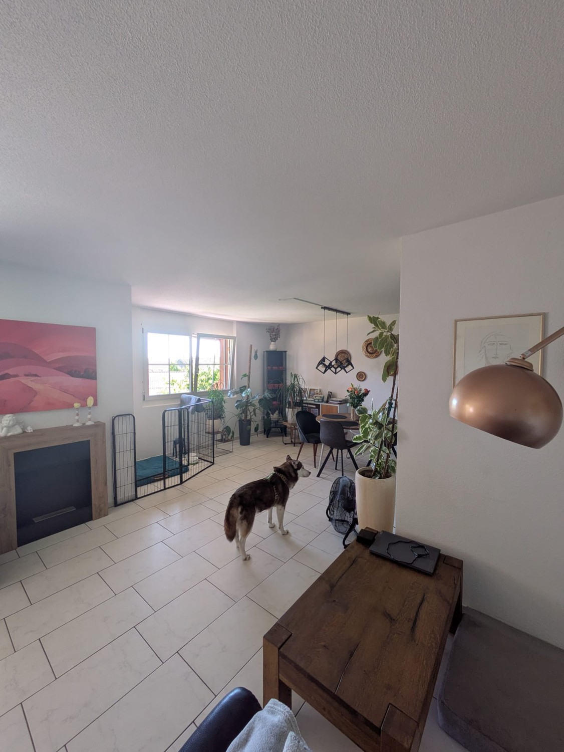 4 ½ rooms apartment