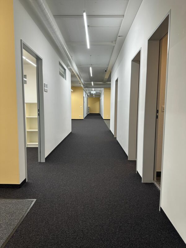 670m² commerciale