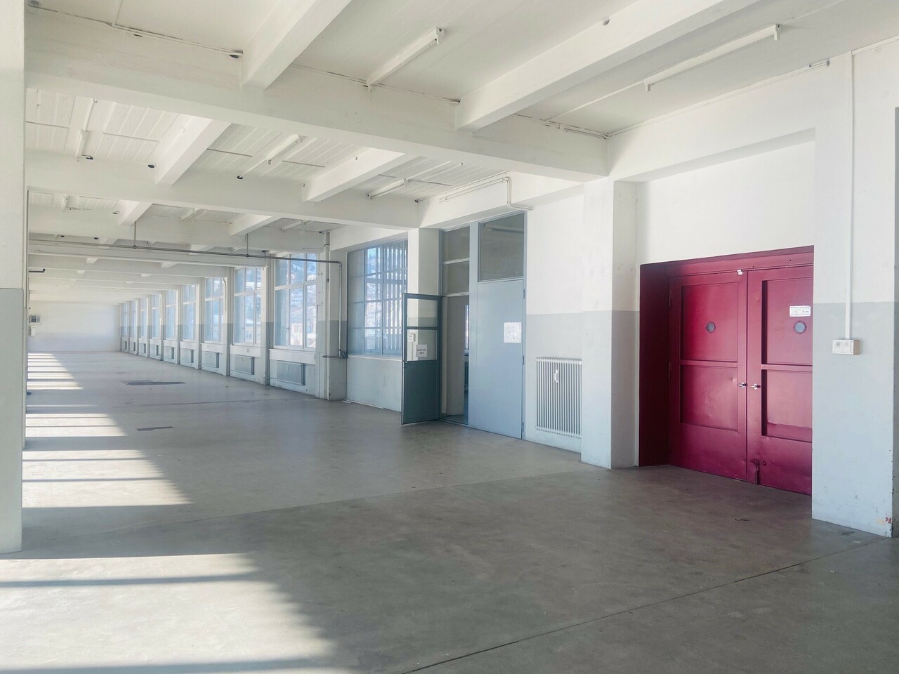 3596m² commercial