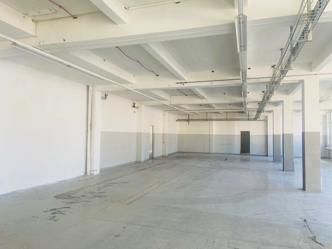 3596m² commercial