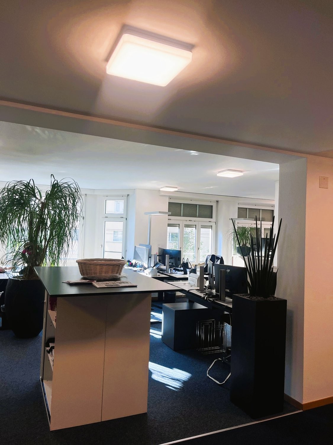 236m² ufficio
