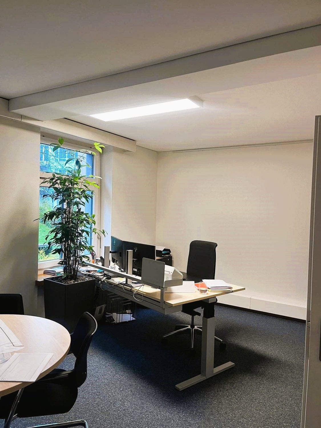 236m² ufficio