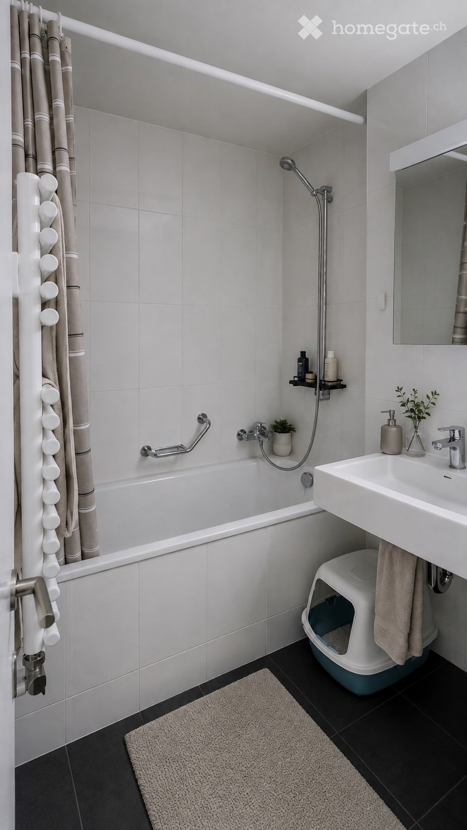 Appartamento di 2 ½ locali, foto 8 di 9