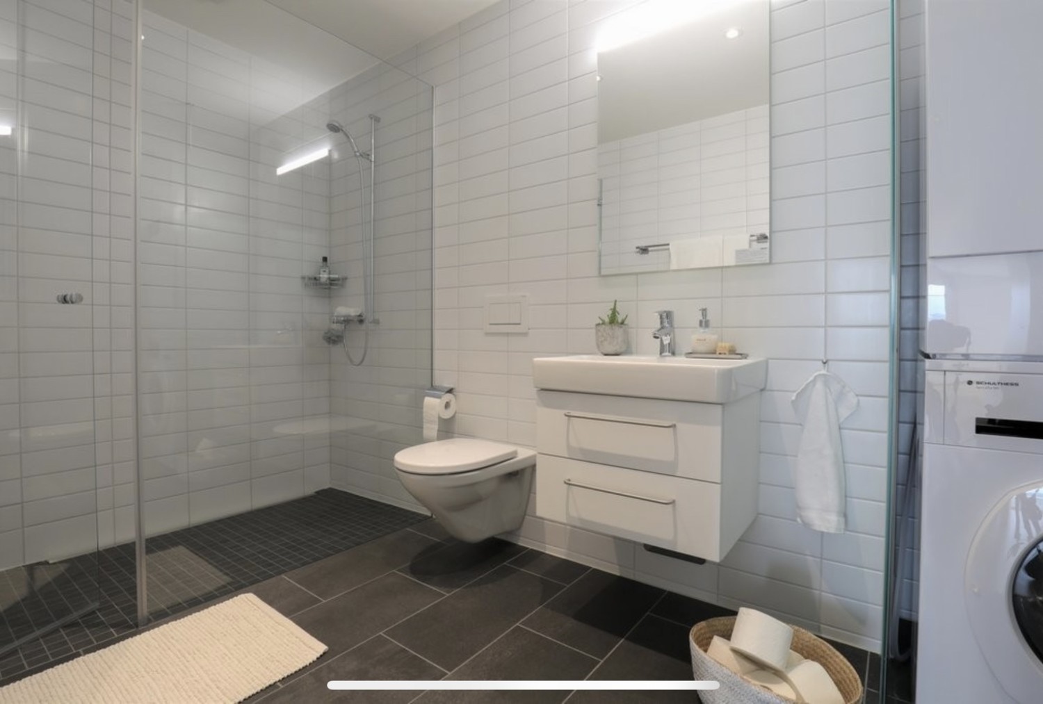 2 ½ rooms apartment
