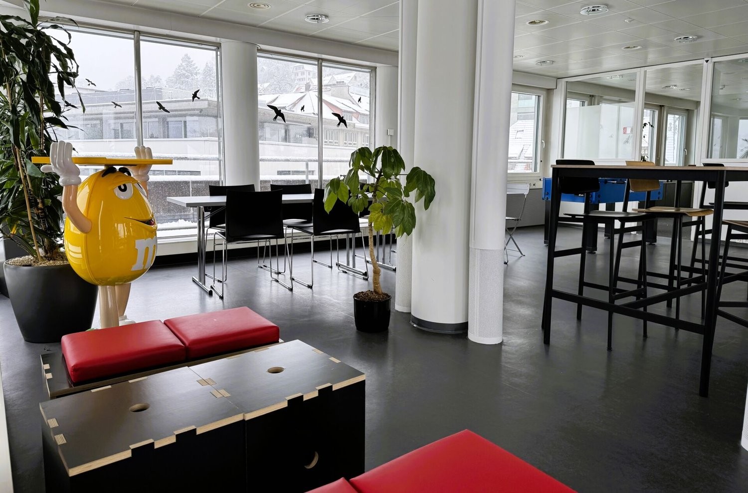 167m² ufficio