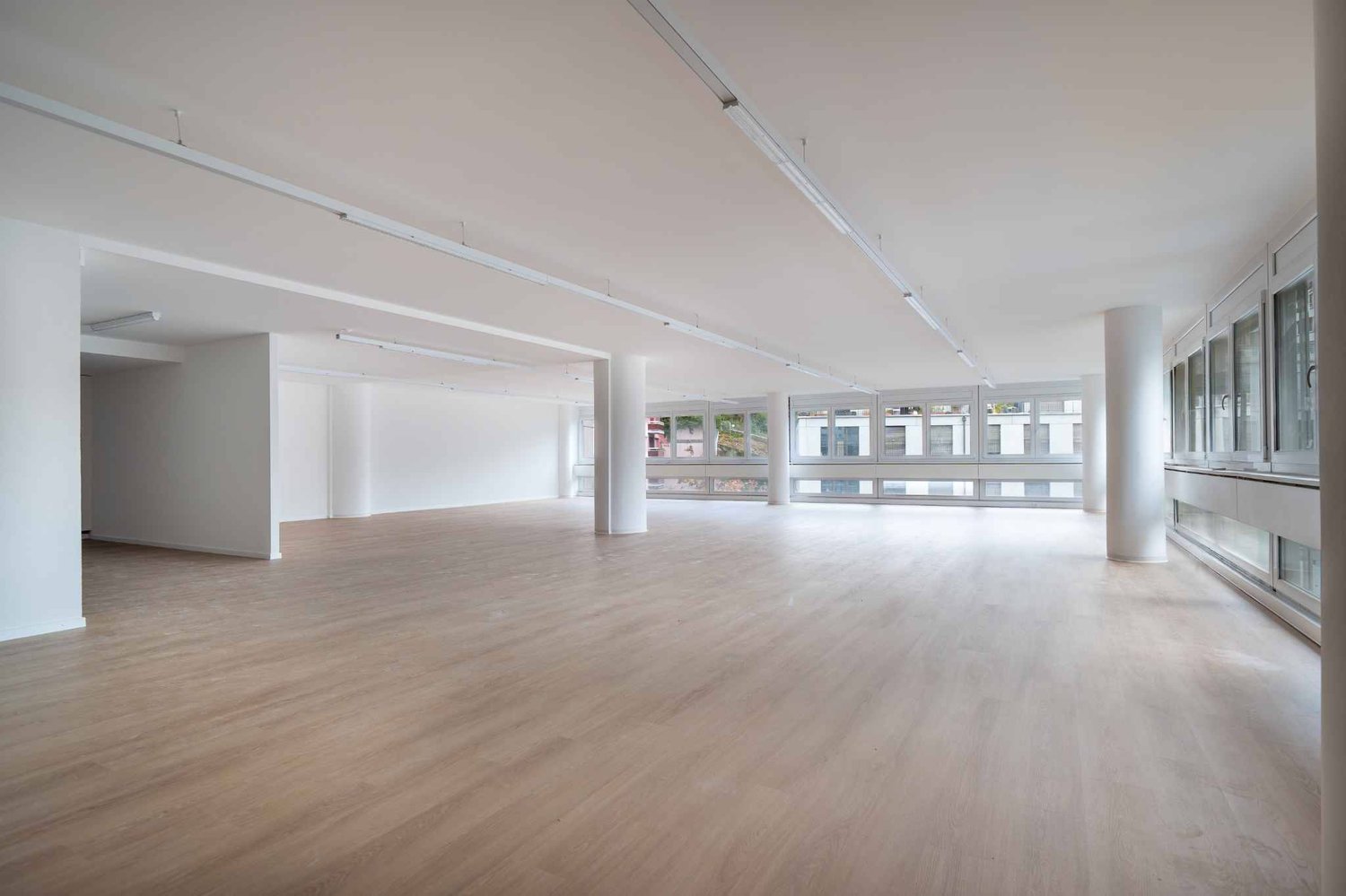 221m² office