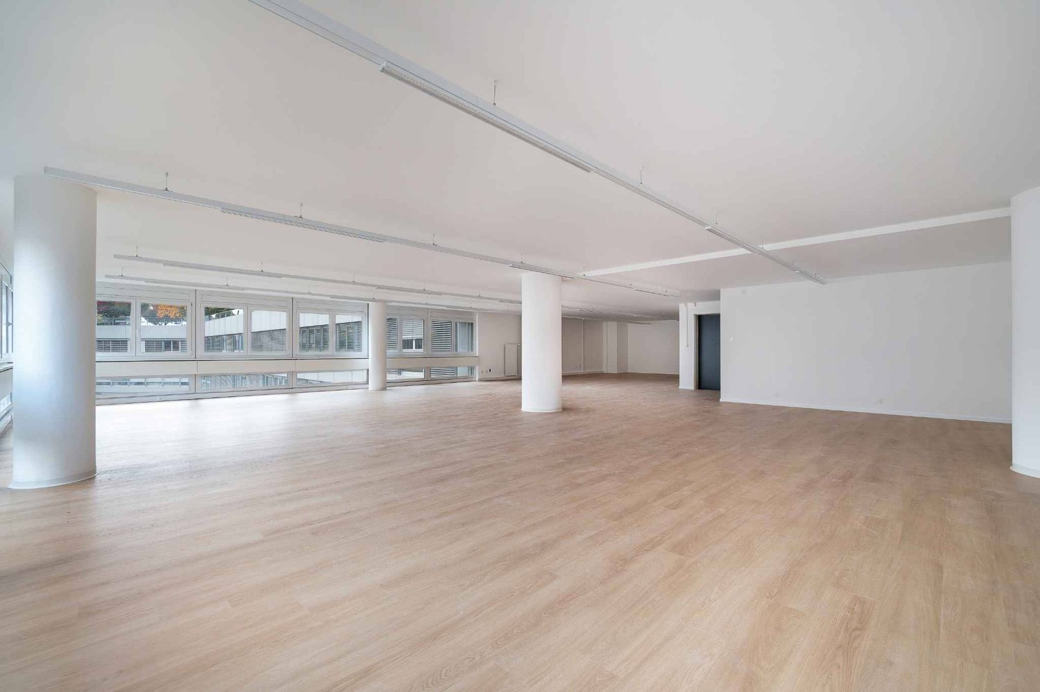 221m² office