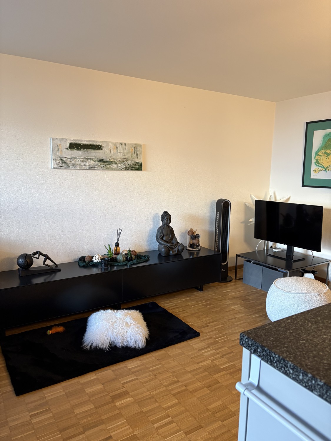 Appartamento di 3 ½ locali, foto 1 di 7