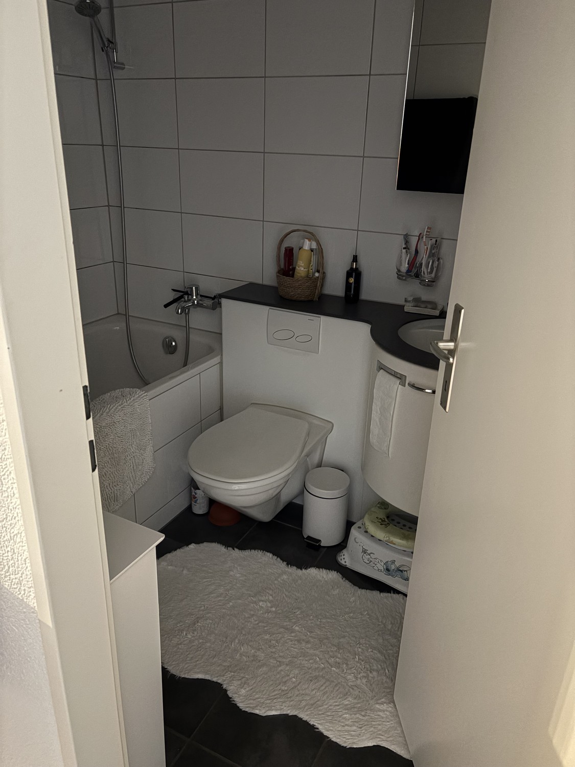 Appartamento di 3 ½ locali, foto 2 di 7