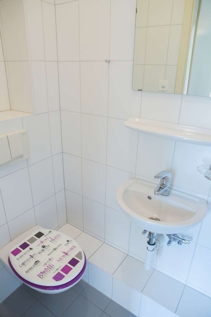 3 ½ Zimmer-Wohnung