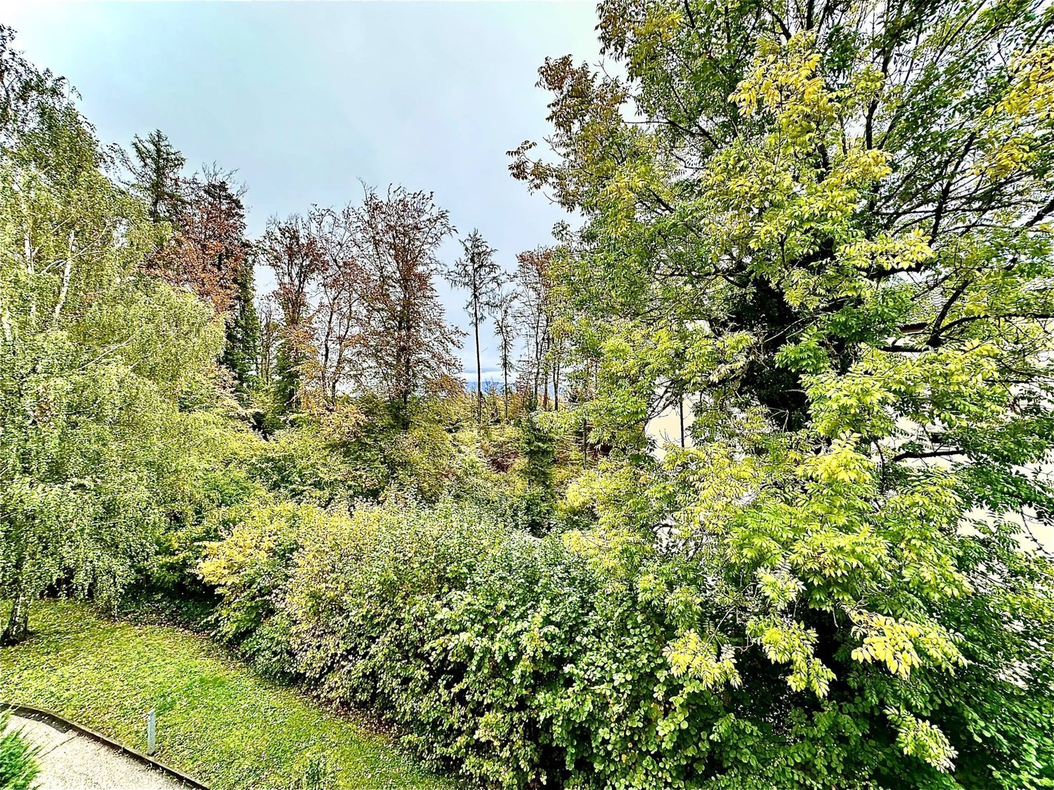 ufficio di 186m², foto 8 di 8