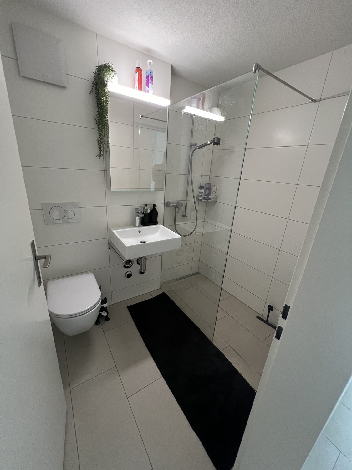 Appartamento di 1 ½ locali, foto 9 di 9