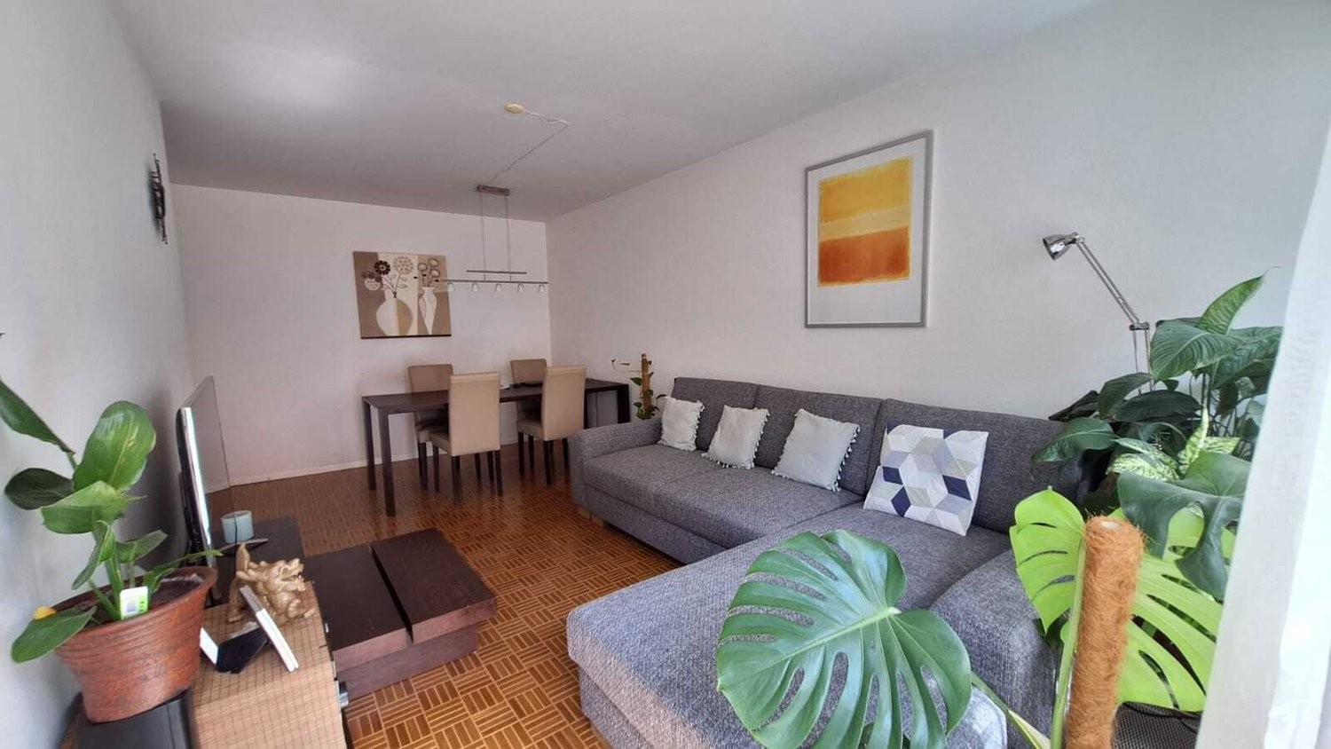 appartamento arredato di 2 ½ locali, foto 1 di 5