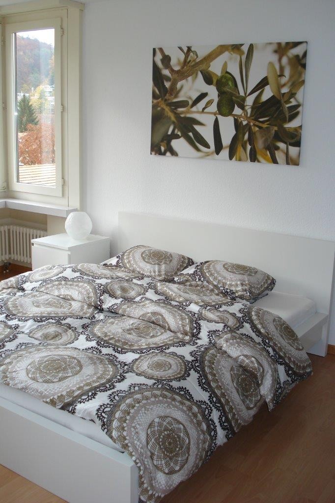 Appartamento di 1 ½ locali, foto 1 di 3