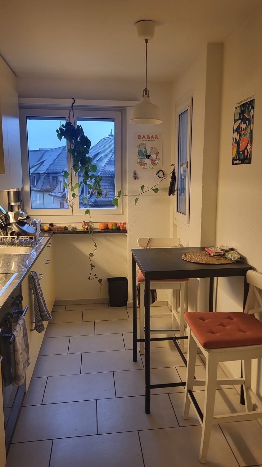 Appartamento di 1 ½ locali
