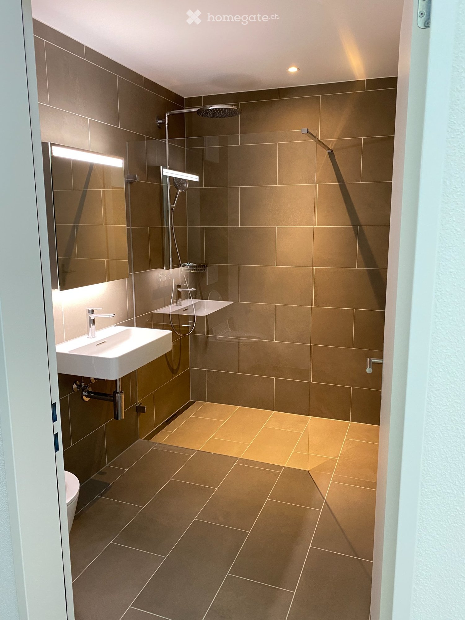 5 ½ rooms apartment