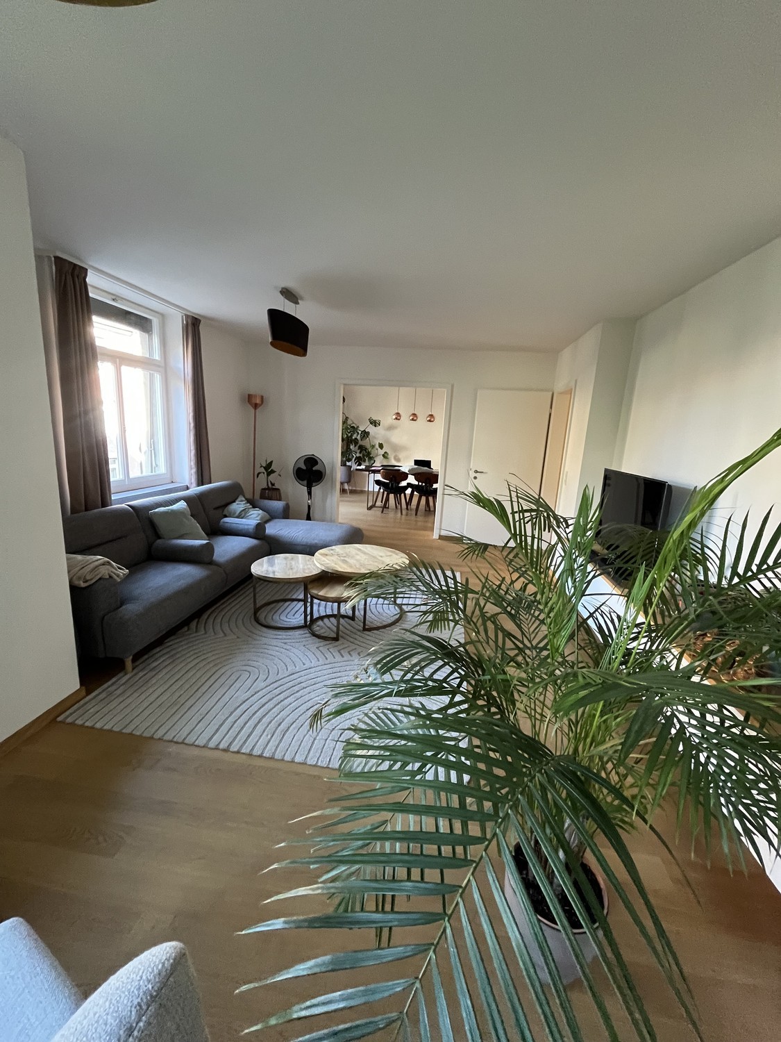Chambre dans une colocation