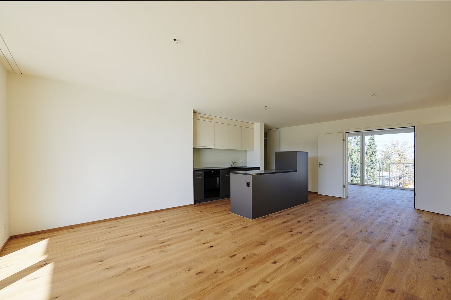 5 ½ rooms apartment