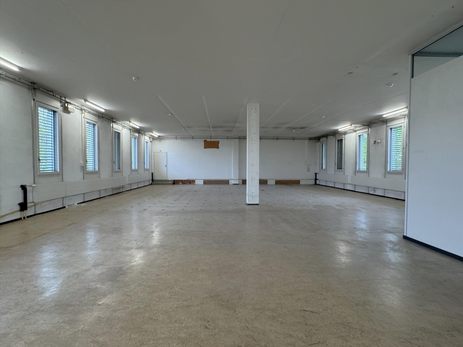 305m² commerciale