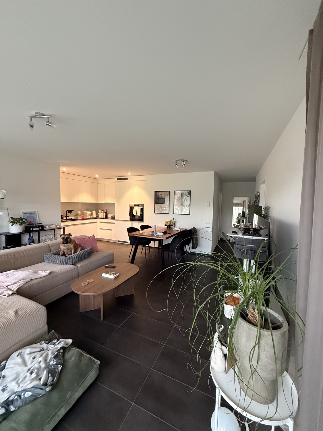 Appartamento di 3 ½ locali, foto 4 di 8