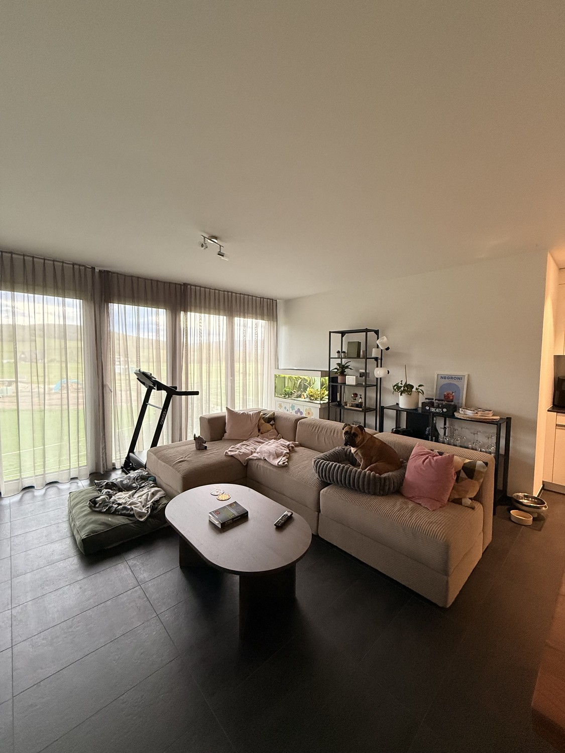 Appartamento di 3 ½ locali, foto 3 di 8