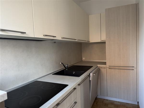 2 ½ rooms furnished flat, foto 4 di 8