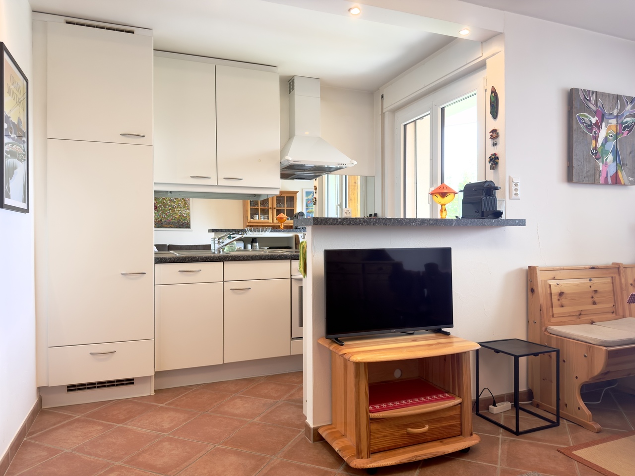 Appartamento di 3 ½ locali